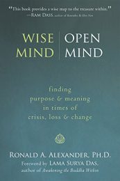 Wise Mind - Open Mind