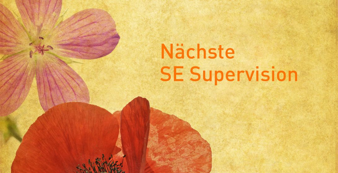 SE-Supervision